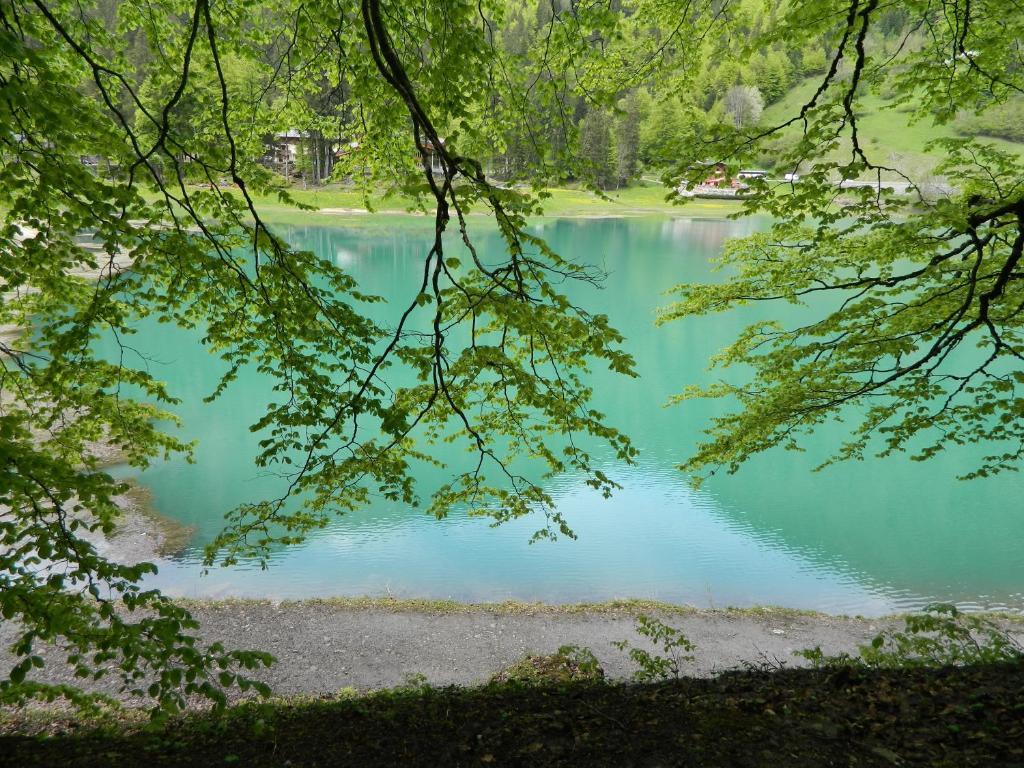 Logis Hotel Les Sapins Montriond Exterior foto