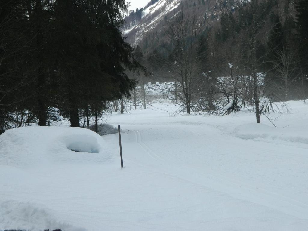 Logis Hotel Les Sapins Montriond Exterior foto
