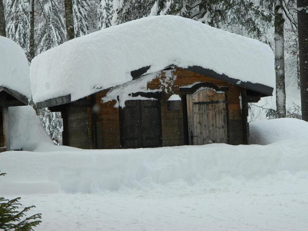 Logis Hotel Les Sapins Montriond Exterior foto