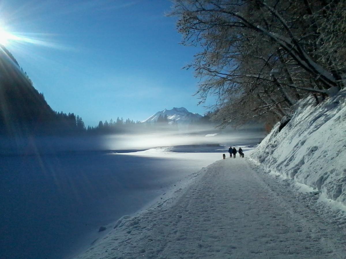 Logis Hotel Les Sapins Montriond Exterior foto
