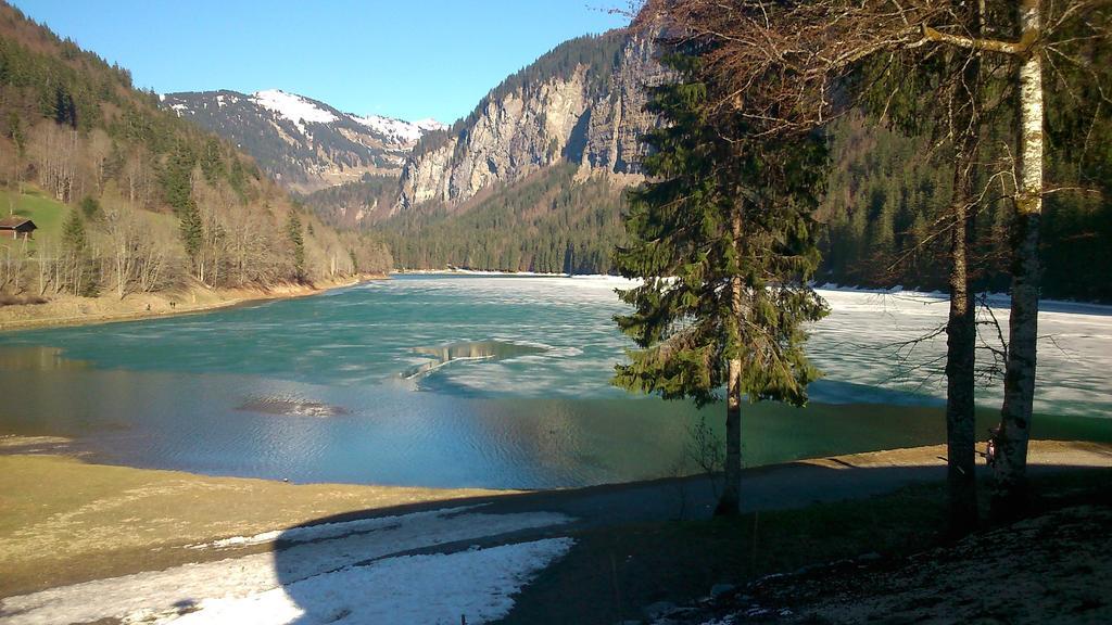 Logis Hotel Les Sapins Montriond Exterior foto