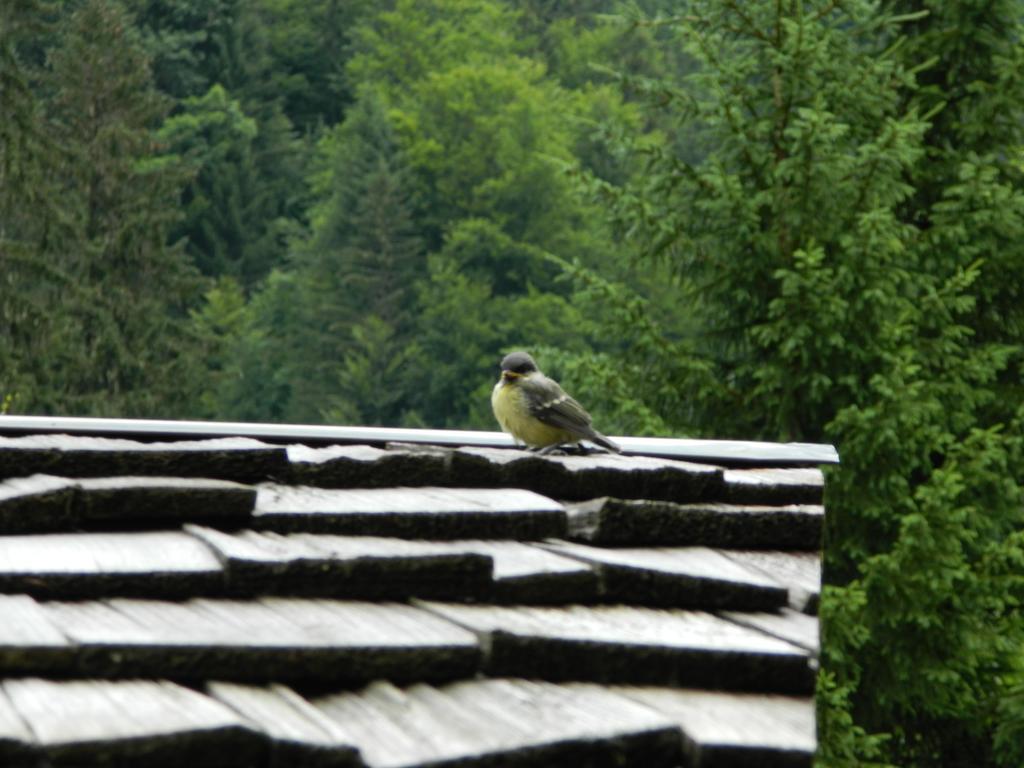 Logis Hotel Les Sapins Montriond Exterior foto